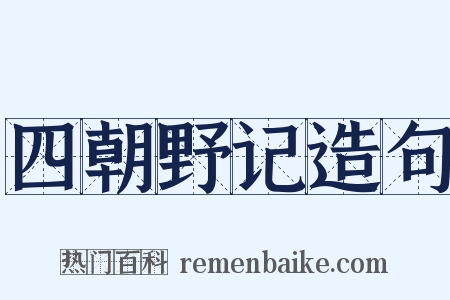四朝野记造句是什么意思的图片